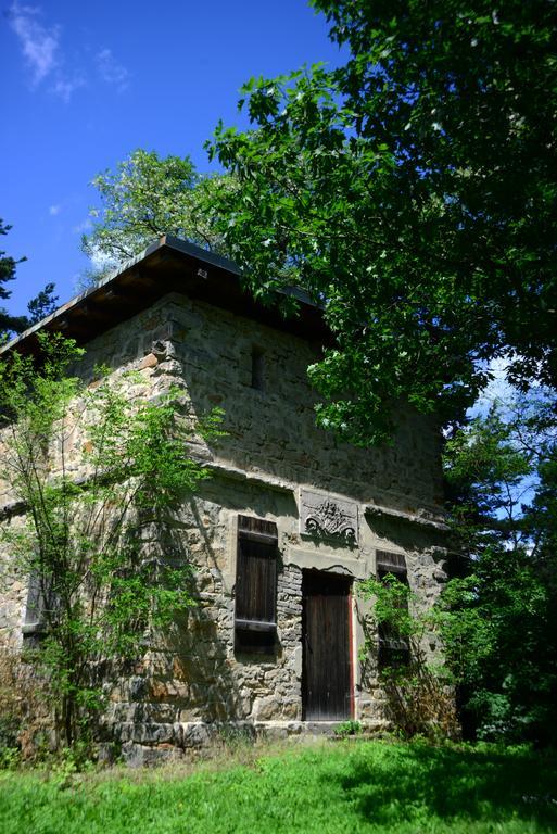 Panoramahotel & Restaurant Am Marienturm Рудолщат Екстериор снимка